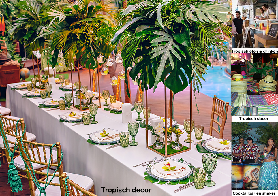 Prijzen tropisch feest