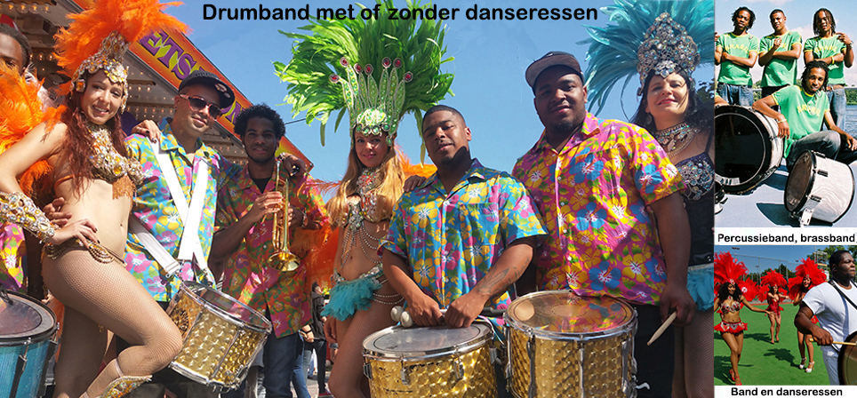 Danseressen in Tropische Samba kostuums